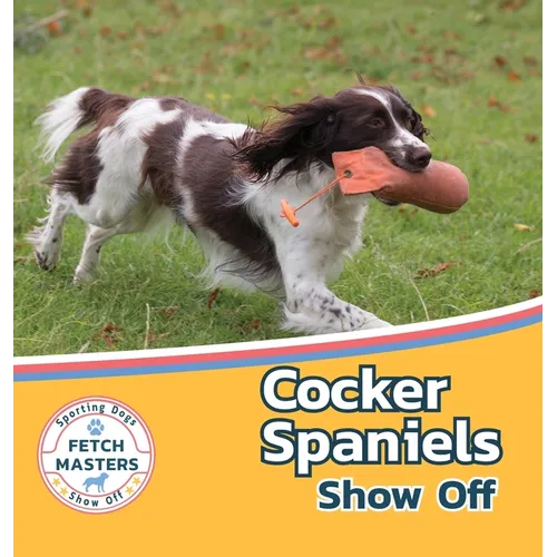 Cocker Spaniels Show Off - Hardcover