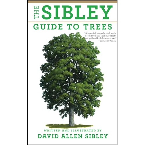 The Sibley Guide to Trees - Paperback