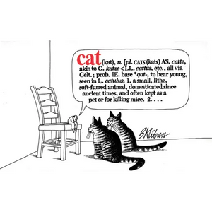 Cat - Paperback
