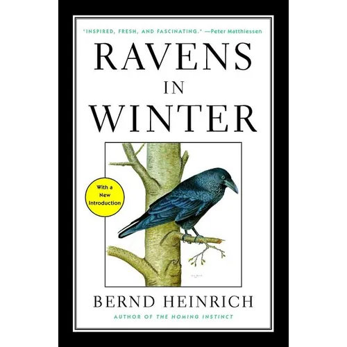 Ravens in Winter - Paperback