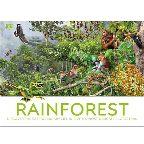 Rainforest - Hardcover