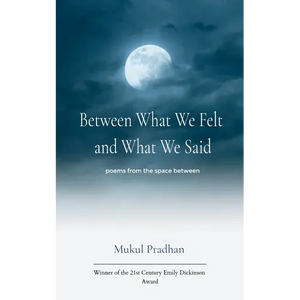 Between What We Felt and What We Said poems from the space between - Paperback
