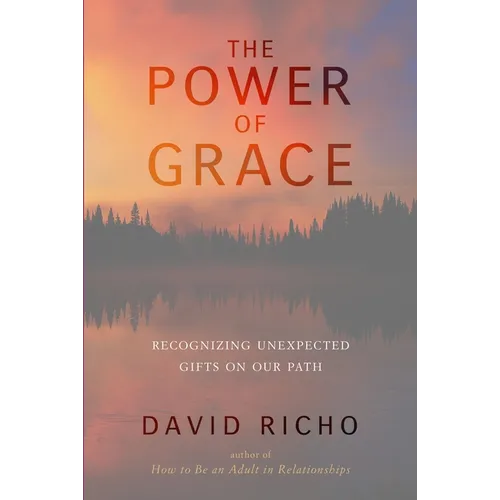 The Power of Grace: Recognizing Unexpected Gifts on Our Path - Paperback