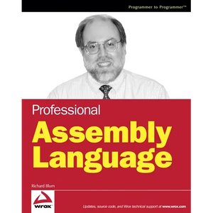 Professional Assembly Language - Paperback