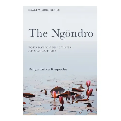 The Ngöndro: Foundation practices of Mahamudra - Paperback