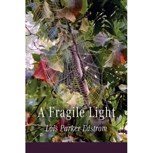 A Fragile Light - Paperback