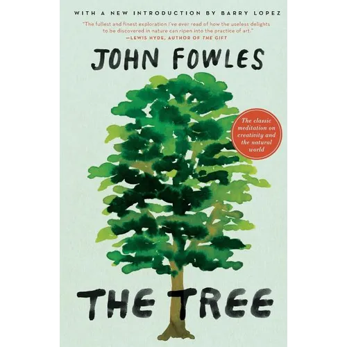 The Tree - Paperback