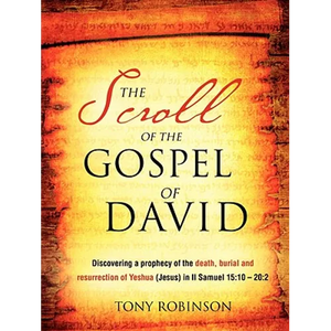 The Scroll of the Gospel of David - Paperback