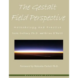The Gestalt Field Perspective: Methodology and Practice - Paperback