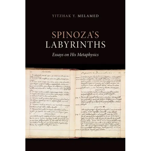 Spinoza's Labyrinths: Essays on His Metaphysics - Hardcover