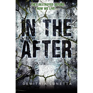 In the After - Paperback