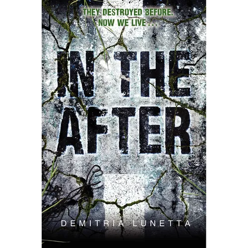 In the After - Paperback