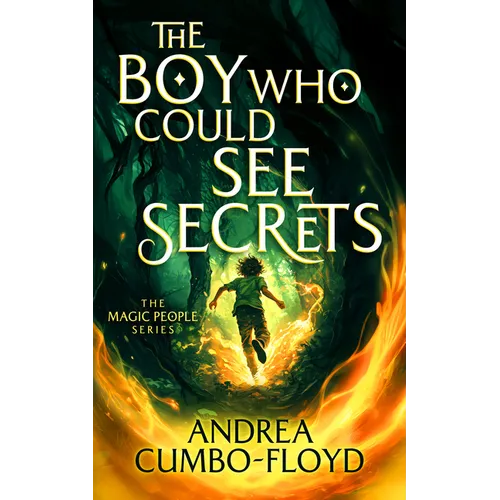 The Boy Who Could See Secrets - Paperback