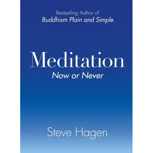 Meditation Now or Never - Paperback