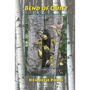 Bend of Quiet - Paperback