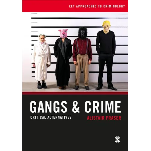 Gangs & Crime: Critical Alternatives - Paperback