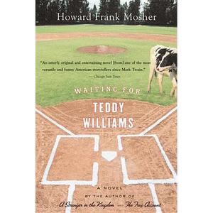 Waiting for Teddy Williams - Paperback