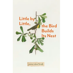 Little By Little, The Bird Builds Its Nest - Paperback
