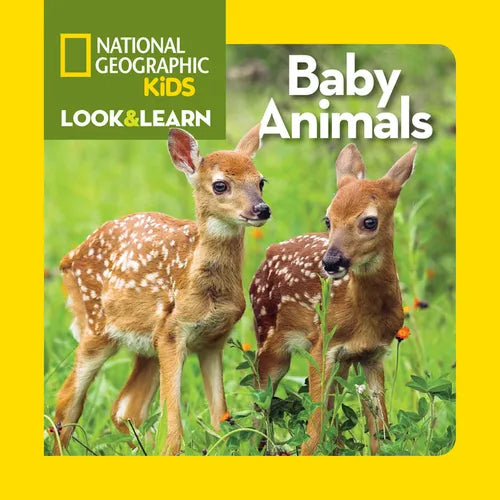 National Geographic Kids Look & Learn: Baby Animals - Board Book