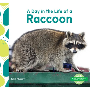 Day in the Life of a Raccoon - Library Binding