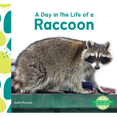 Day in the Life of a Raccoon - Library Binding