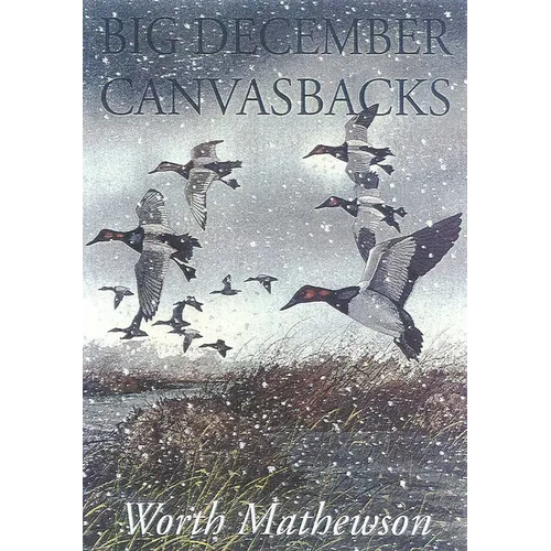 Big December Canvasbacks, Revised - Paperback
