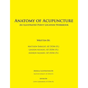 Anatomy of Acupuncture: An Illustrated Point Location Workbook - Paperback
