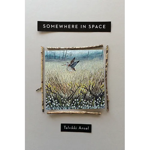 Somewhere in Space - Paperback