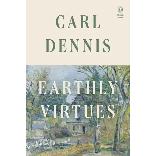 Earthly Virtues - Paperback