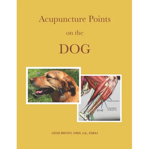 Acupuncture Points on the Dog - Paperback