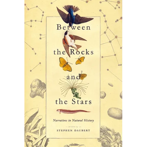 Between the Rocks and the Stars: Narratives in Natural History - Paperback