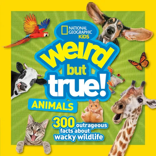 Weird But True! Animals: 300 Outrageous Facts about Wacky Wildlife - Paperback
