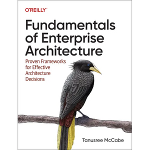 Fundamentals of Enterprise Architecture: Proven Frameworks for Effective Architecture Decisions - Paperback
