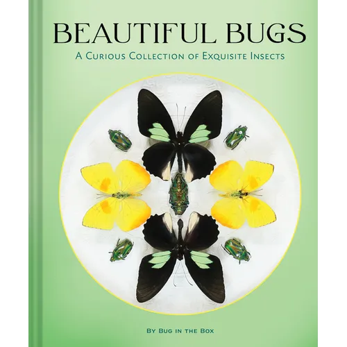 Beautiful Bugs: A Curious Collection of Exquisite Insects - Hardcover
