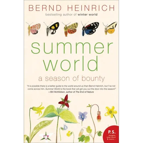 Summer World - Paperback