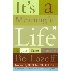 It's a Meaningful Life: It Just Takes Practice - Paperback