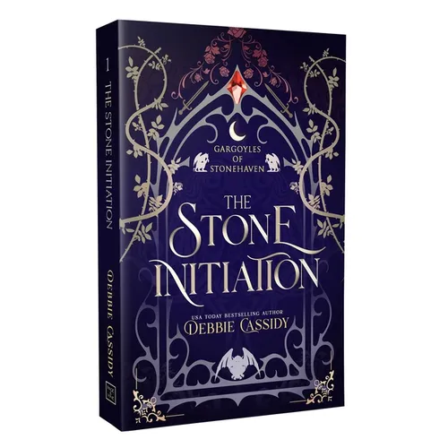 The Stone Initiation - Paperback