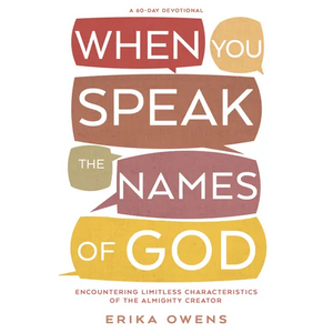 When You Speak the Names of God: Encountering Limitless Characteristics of the Almighty Creator - Paperback