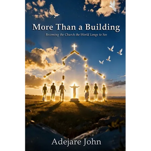 More than a building: Becoming the church the world longs to see - Paperback