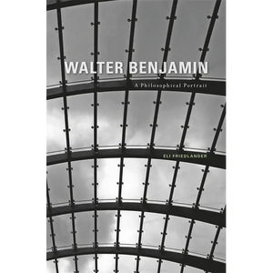 Walter Benjamin: A Philosophical Portrait - Hardcover