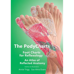 The PodyCharts Foot Charts for Reflexology: An atlas of reflected anatomy - Paperback