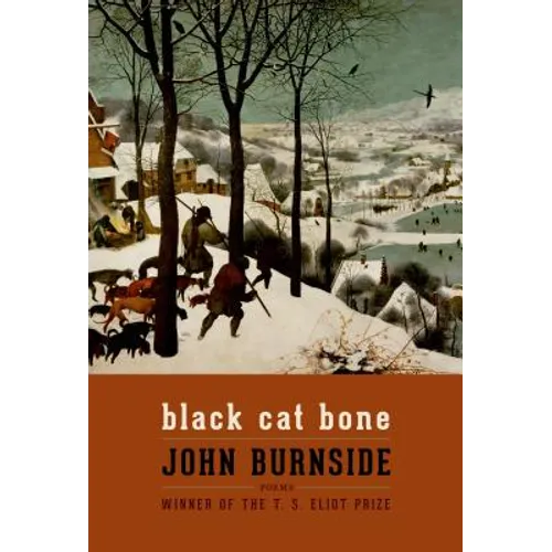 Black Cat Bone: Poems - Paperback