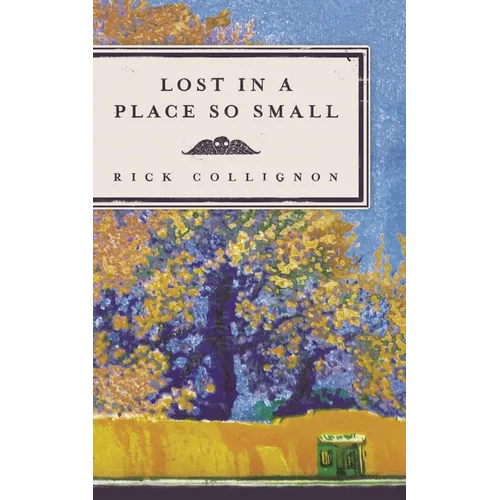 Lost in a Place So Small - Paperback