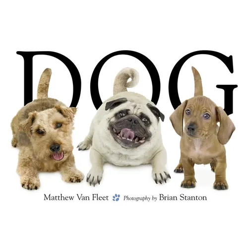 Dog - Hardcover