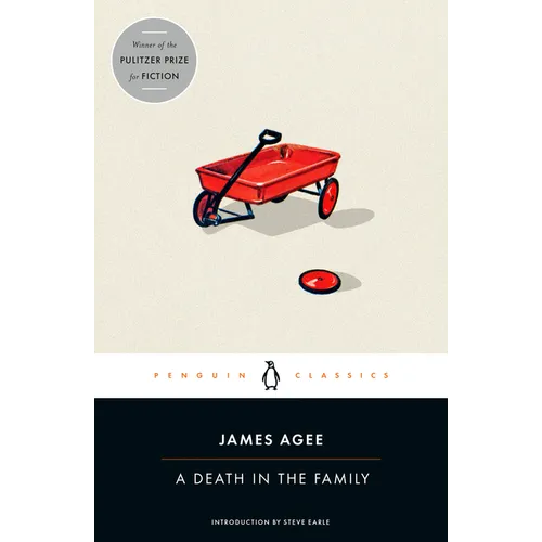 A Death in the Family - Paperback