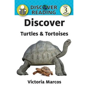 Discover Turtles & Tortoises - Paperback