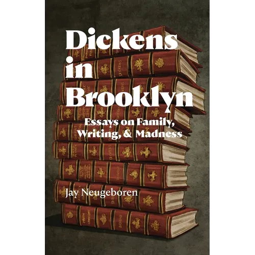 Dickens in Brooklyn: Essays on Family, Writing, and Madness - Paperback