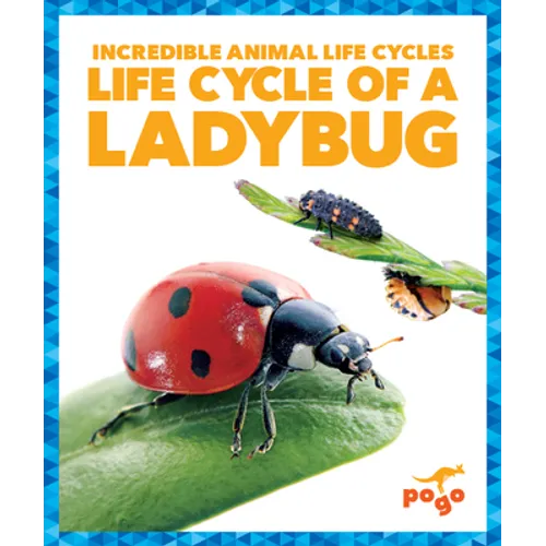 Life Cycle of a Ladybug - Paperback