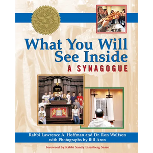 What You Will See Inside a Synagogue - Paperback