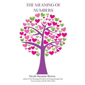 The Meaning of Numbers - Paperback